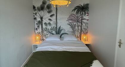 Hyper centre : appartement ancien rénové / tout confort