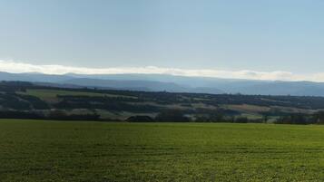 Un'ampia distesa verde con montagne lontane e cielo sereno.