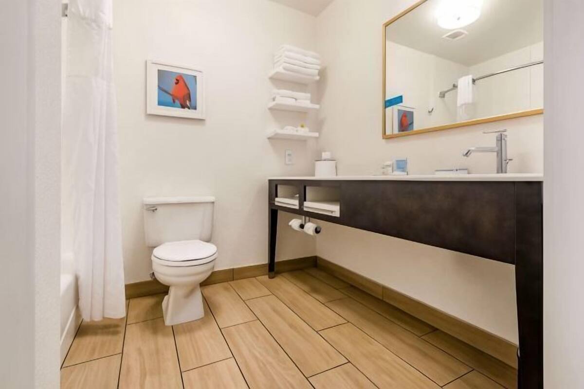 A bathroom with a toilet, a sink, a mirror, and a shower curtain.