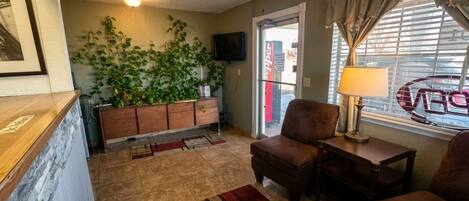 A living room with a ceiling fan, a TV, a brown leather sofa, a small table with a lamp, and a large plant.