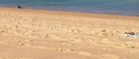 Playa en los alrededores