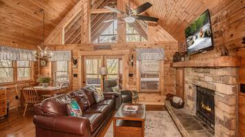 Una Smart TV, una chimenea, un reproductor de DVD, libros