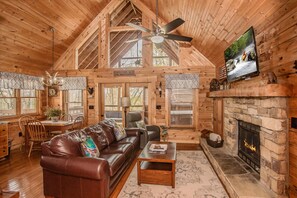 Smart TV, fireplace, DVD player, books