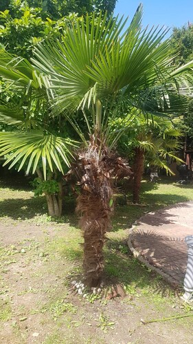 Logement entier proche Disney Land Paris avec WiFi et proche transport. 