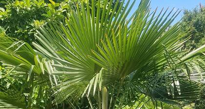 Logement entier proche Disney Land Paris avec WiFi et proche transport.