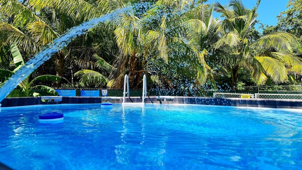 Una piscina azul cristalina con fuente, rodeada de exuberante vegetación tropical.