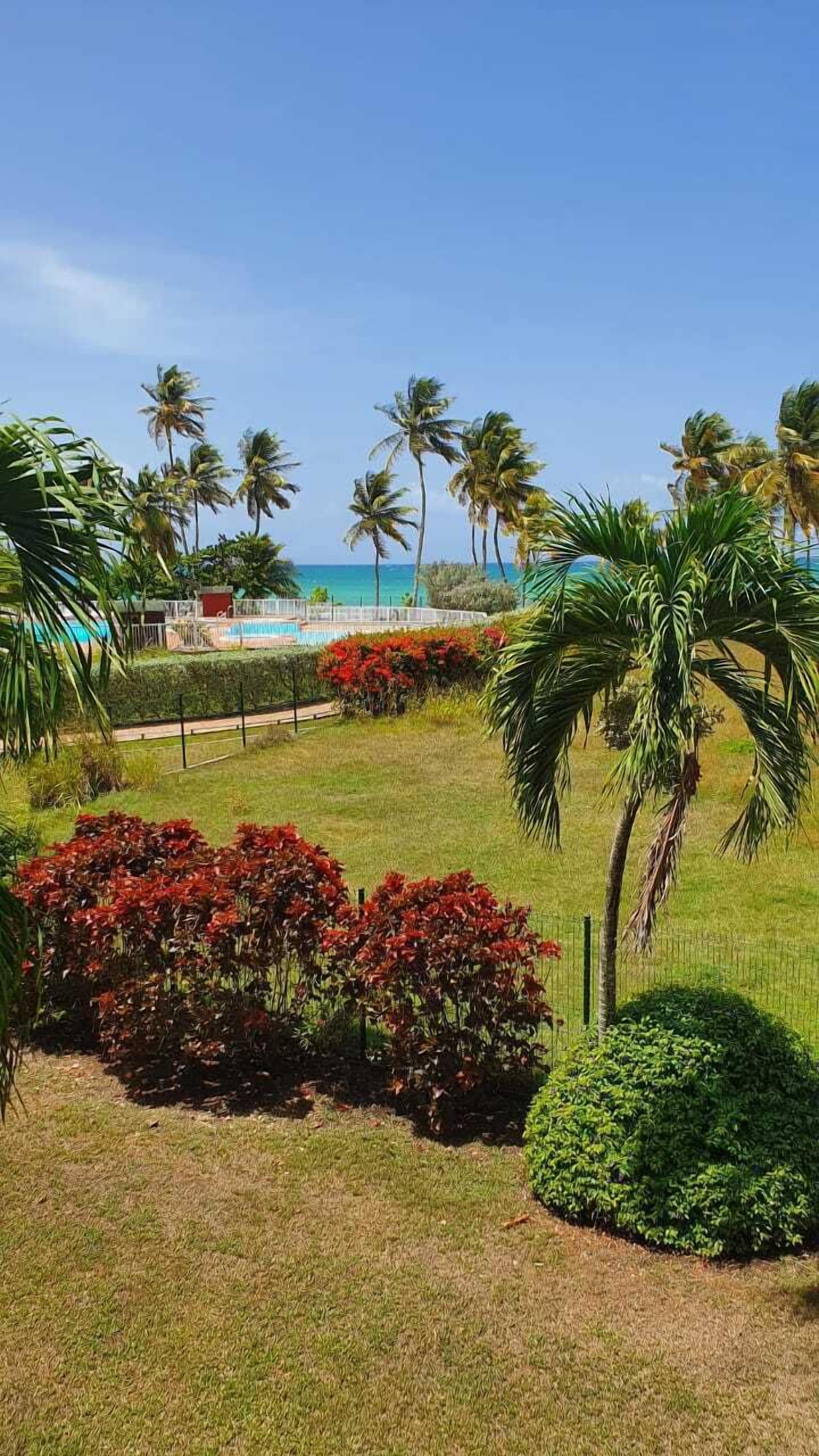 Un jardín tropical con palmeras, flores rojas y una zona de piscina.