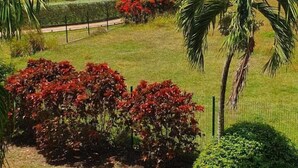 A tropical garden with palm trees, red flowers, and a pool area. - Charming studio with superb sea view (Le Gosier)
