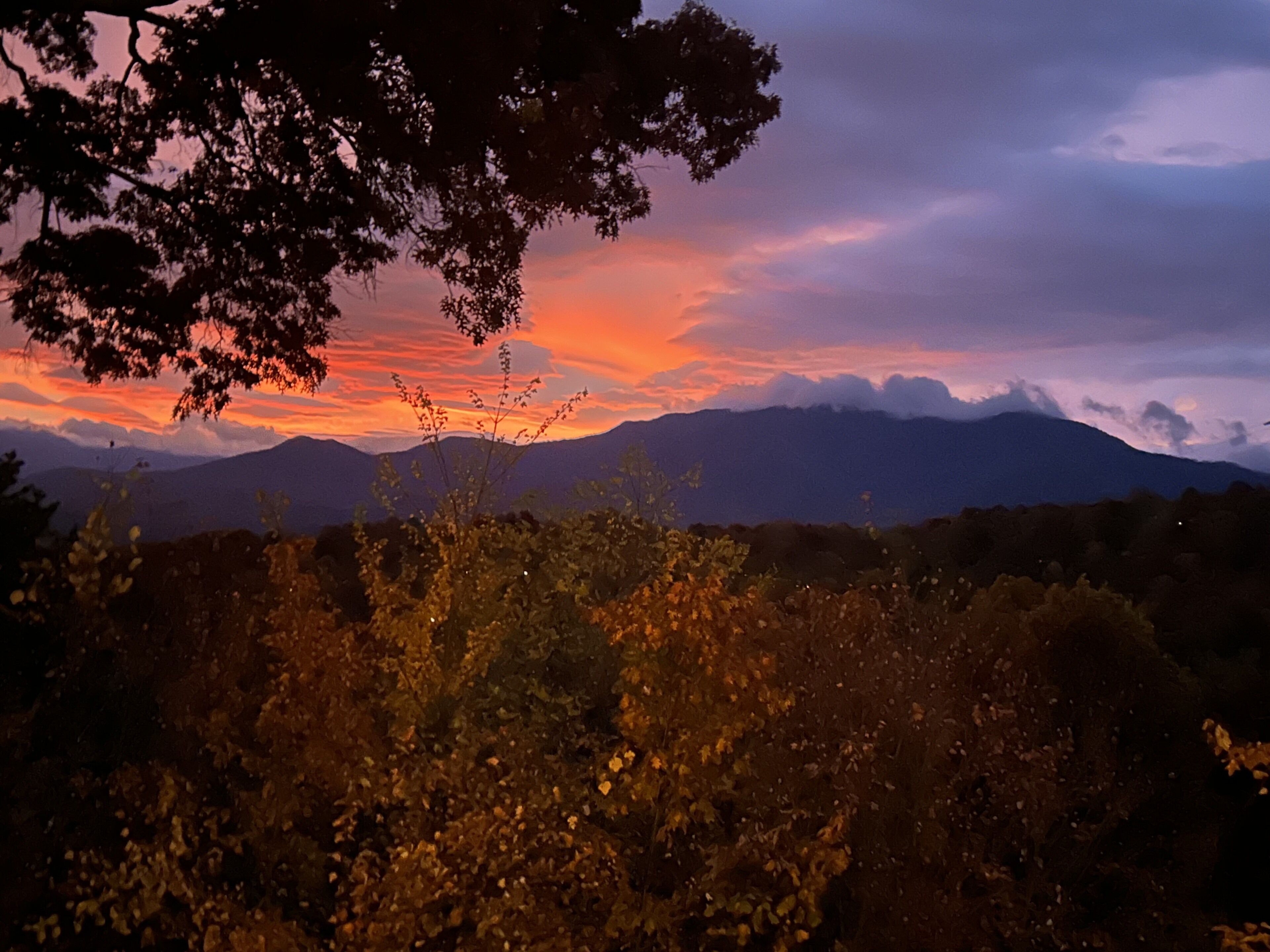 Fall colors and the magic sky!