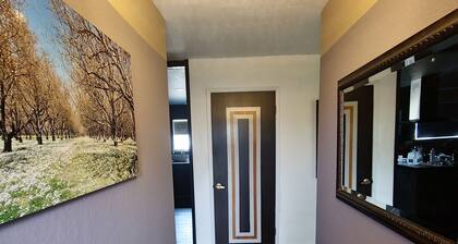 Newly Remodeled Furnished Upper 1250sq unit
