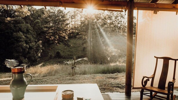 A wooden deck with a table and a chair, overlooking a forested area with sunlight filtering through the trees. - Byron Bay hinterlands vintage-styled nature oasis! (Myocum)