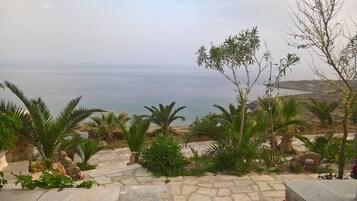 Apartamento, 1 habitación, terraza, vistas al jardín | Jardines del alojamiento