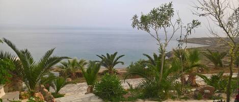 Appartement, 1 chambre, terrasse, vue jardin | Plage