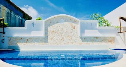 Gorgeous 22 People Villa With Pool Playacar Phase 2
