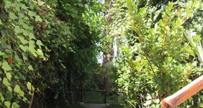 Maison Etoile De Mer 2