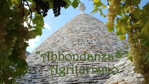 A stone structure with a conical roof, surrounded by grapevines. - Room-agriturismo Abbondanza® (Alberobello)