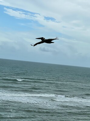 Am Strand, Liegestühle, Strandtücher