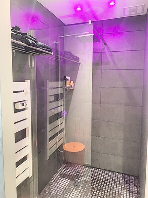 Douche, sèche-cheveux, serviettes fournies, papier toilette