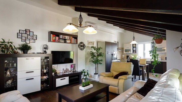 A modern living room with a sofa, coffee table, TV, and a bookshelf. - Rustic apartment EVELIN close to the beach (Pinezići)