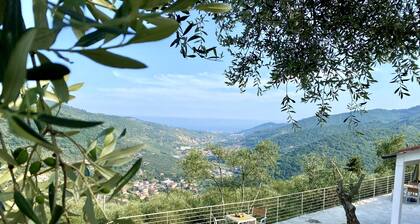 Dream home with sea views and heated pool & large terrace in the olive grove