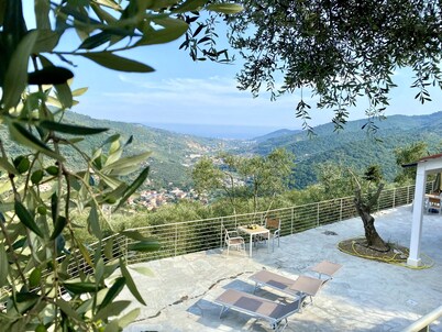 Dream home with sea views and heated pool & large terrace in the olive grove