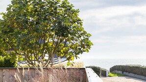 A rooftop garden with a tree, grasses, and a view of the sea. - Villa Odet O Bord de l'O Piscina coberta 29°C em Sainte Marine, praia 100m (Combrit)