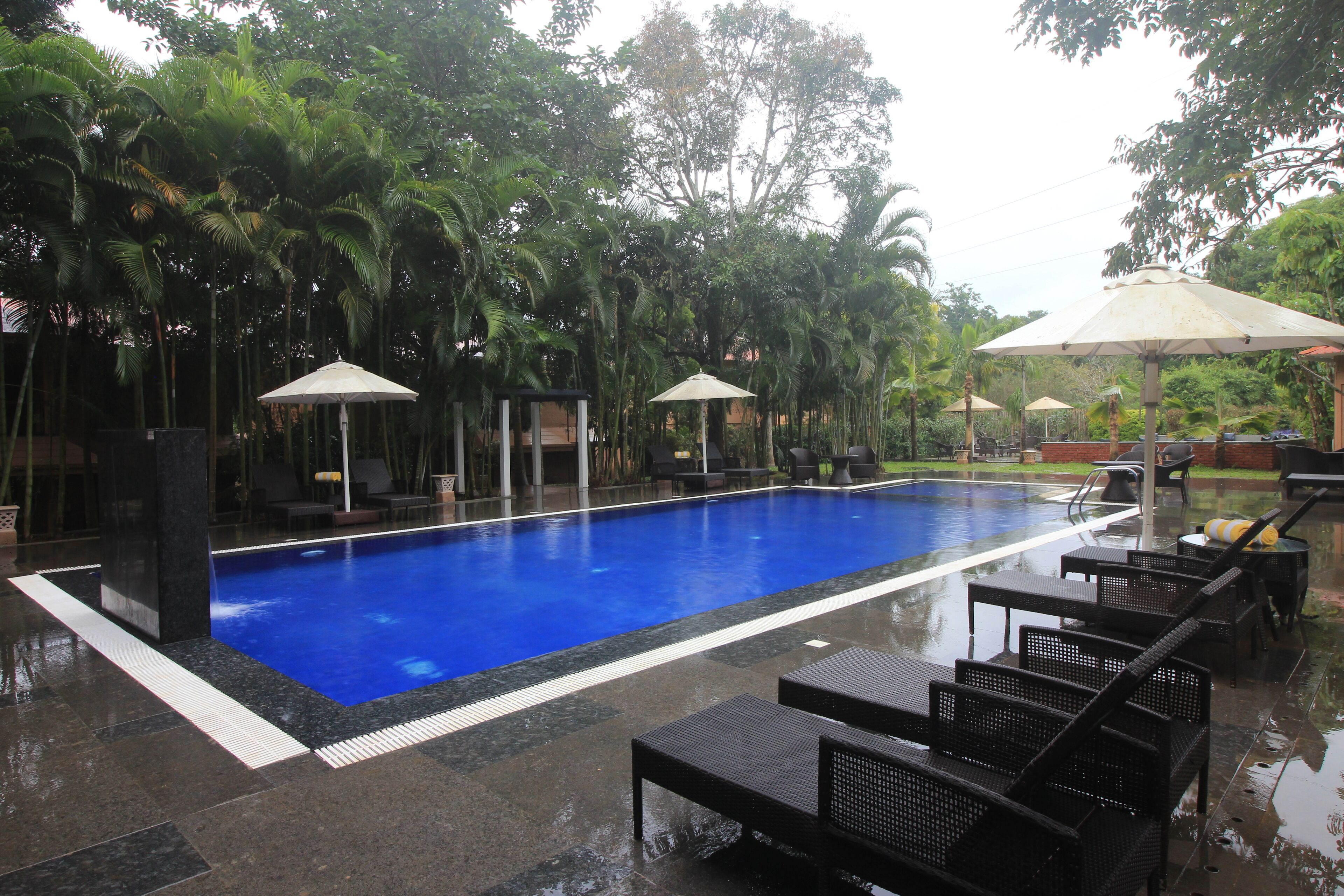 Outdoor pool, pool loungers