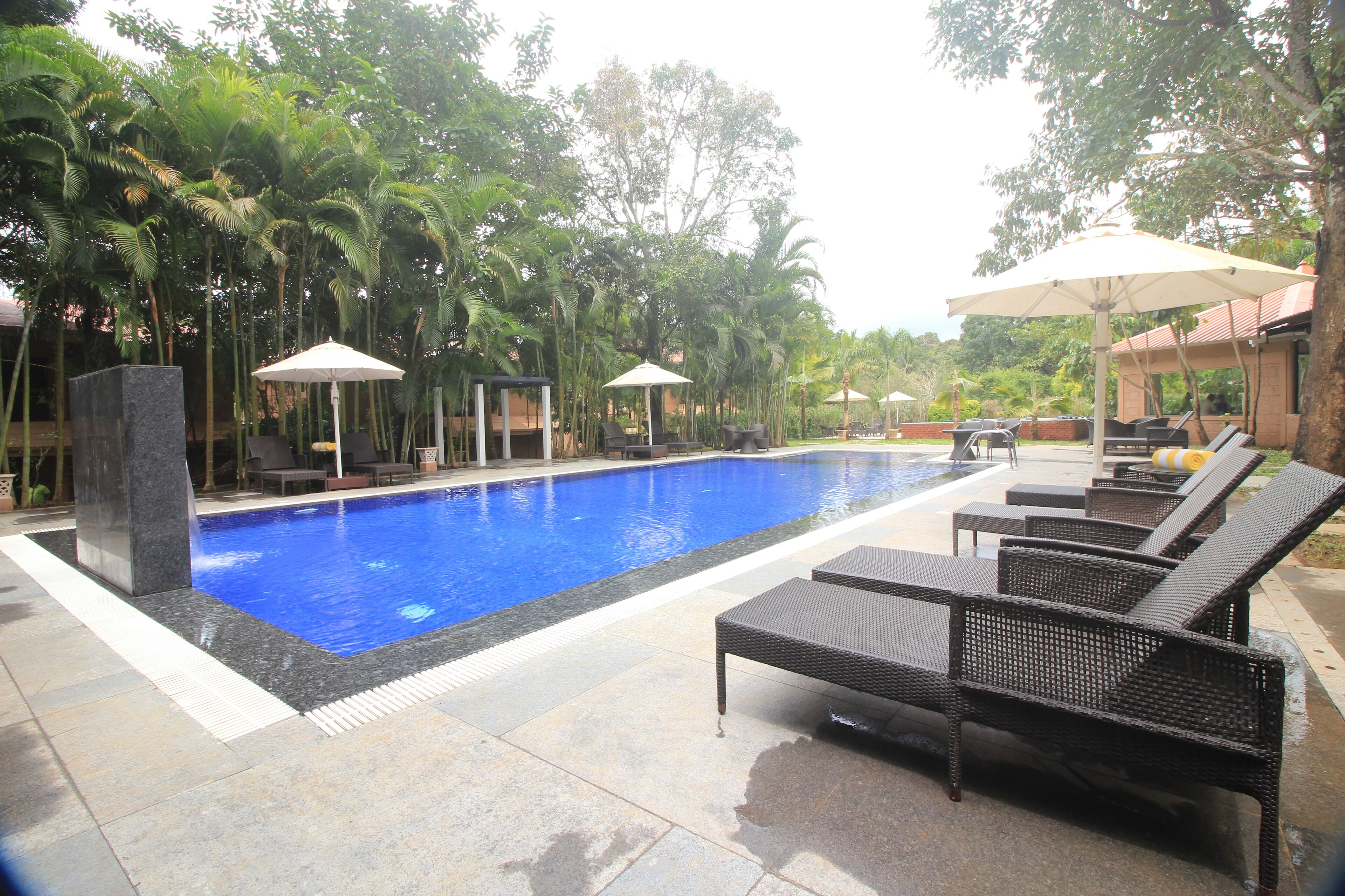 Outdoor pool, pool loungers