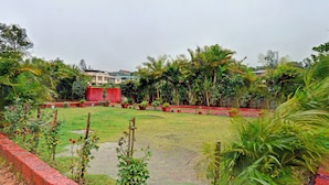 A garden with a red wall, various plants, and a small pond. - Treebo Paradise Inn, Panchgani (Mahabaleshwar)