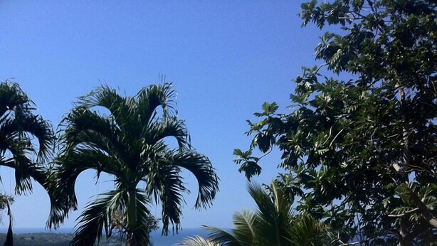 Unclassified image, 1 of 13, button - Montego Bay 1 bedroom Vacation Home (Montego Bay)