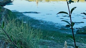 Ein Fluss mit einer Kirche im Hintergrund, umgeben von Grünflächen und Häusern.