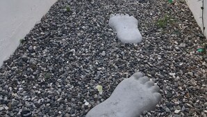 A narrow alley with a gravel path and footprints leading to a potted plant.