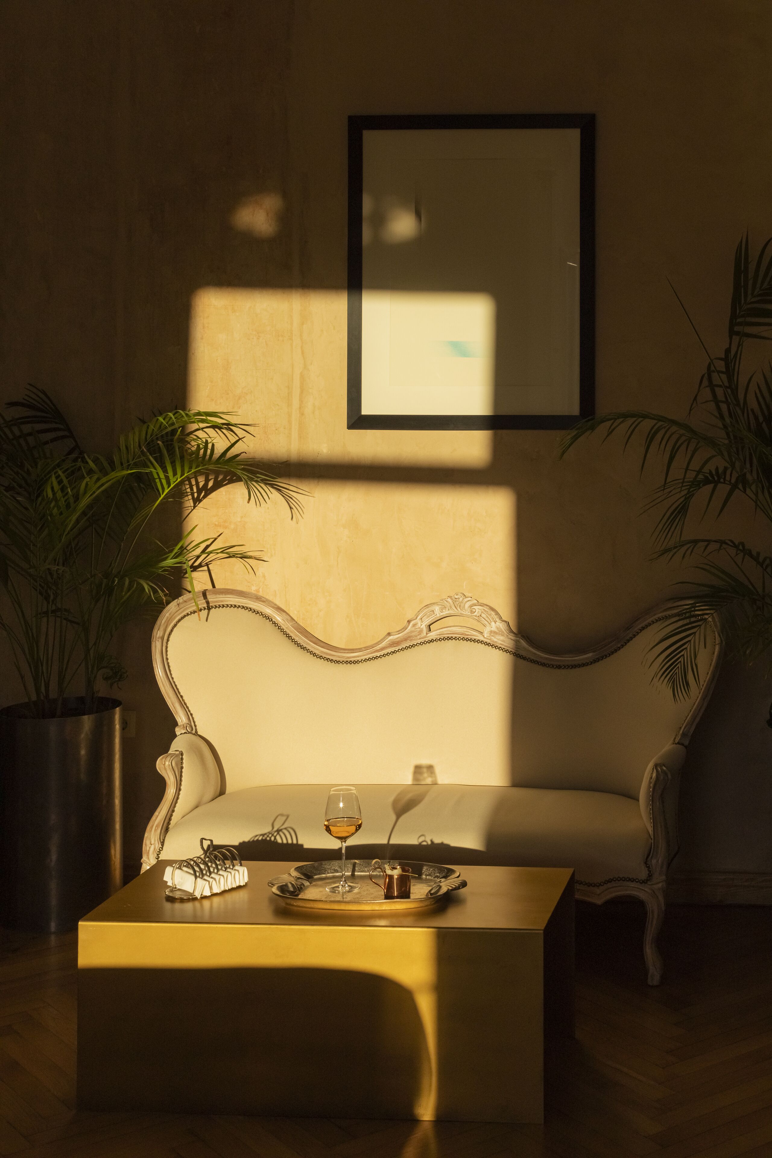 A cozy room with a sofa, a coffee table, and a potted plant.
