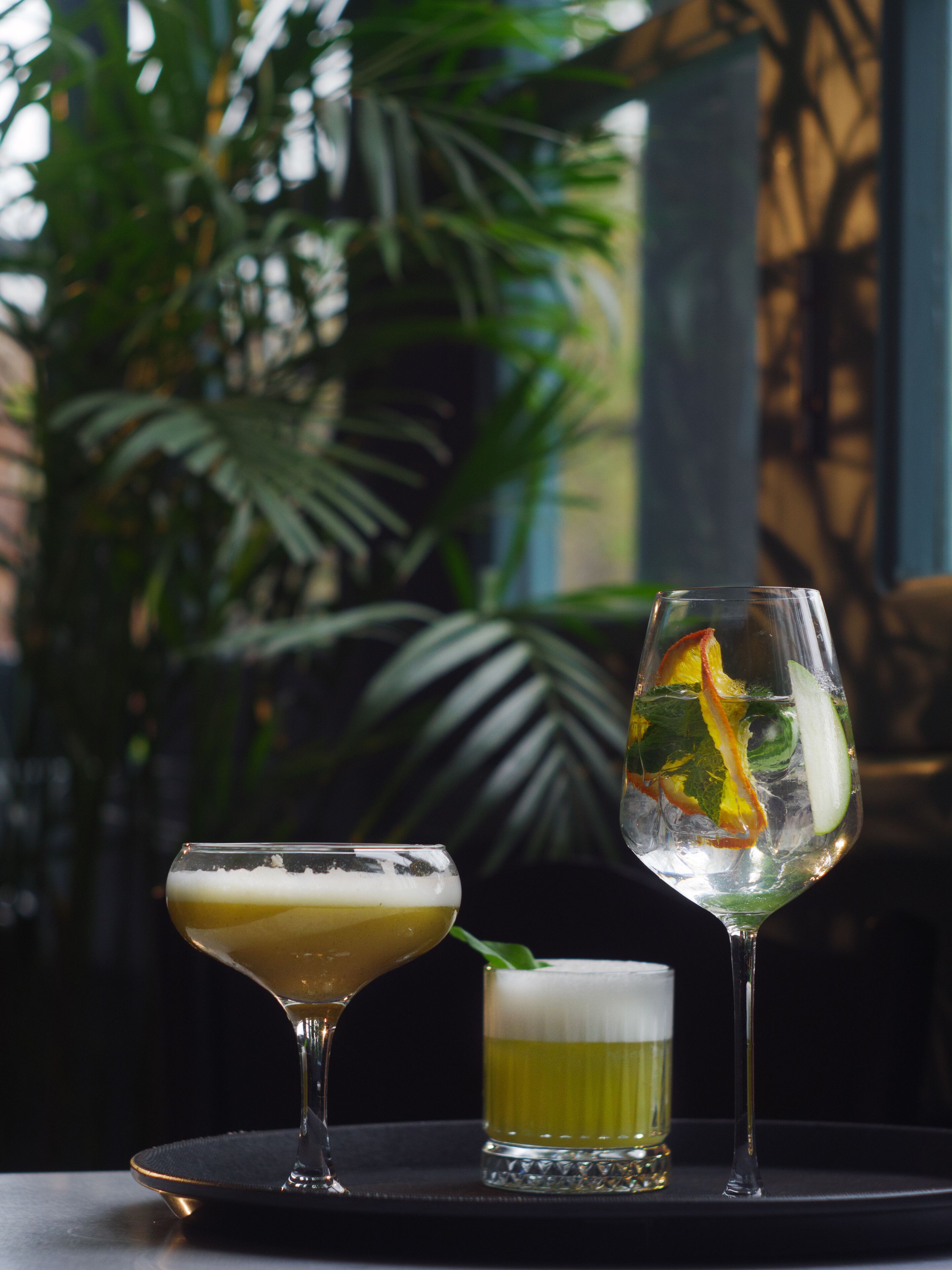 Two glasses of beverages on a table with a dark background and green foliage.