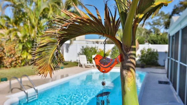 A swimming pool with a palm tree and a bird-shaped ornament hanging from it. - Seminole Comfort: Private Pool Home - 3BD/2BA (Private Homes)