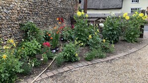 A garden with various flowers and plants, a stone wall, and a thatched-roof building. - Pet Friendly With Enclosed Leafy Outdoor Space (Saffron Walden)