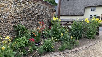 Apartment | Property grounds