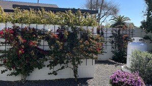 A garden with a white wall, gravel ground, and various plants including a tree with red flowers and a bush with purple flowers. - Resort Living near Kierland and Mayo Clinic  (Scottsdale)