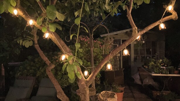 A tree with string lights and potted plants in a garden setting. - Entire 1bed Studio With Ensuite, Balcony & Parking (Westcliff-on-Sea)