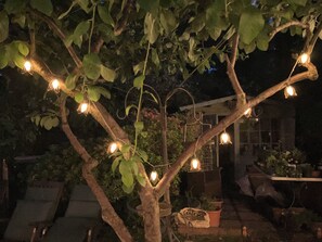 Un árbol con luces colgantes y plantas en macetas en un jardín.