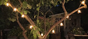 Entire 1bed Studio With Ensuite, Balcony & Parking