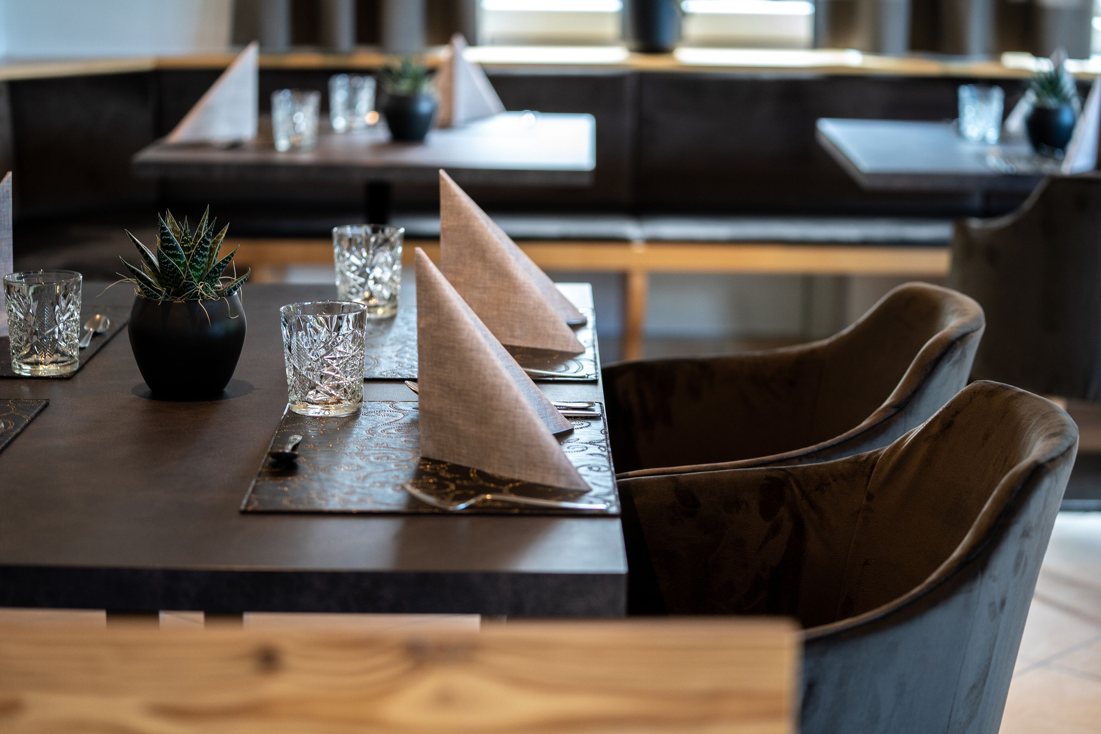 A restaurant setting with a dark wooden table, clear glassware, and a small potted plant.