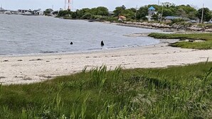 Una spiaggia con una torre dell'acqua sullo sfondo, una riva sabbiosa e della vegetazione.