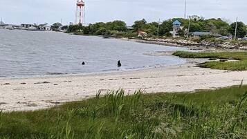 Une plage avec un château d’eau en arrière-plan, un rivage sablonneux et quelques zones verdoyantes.