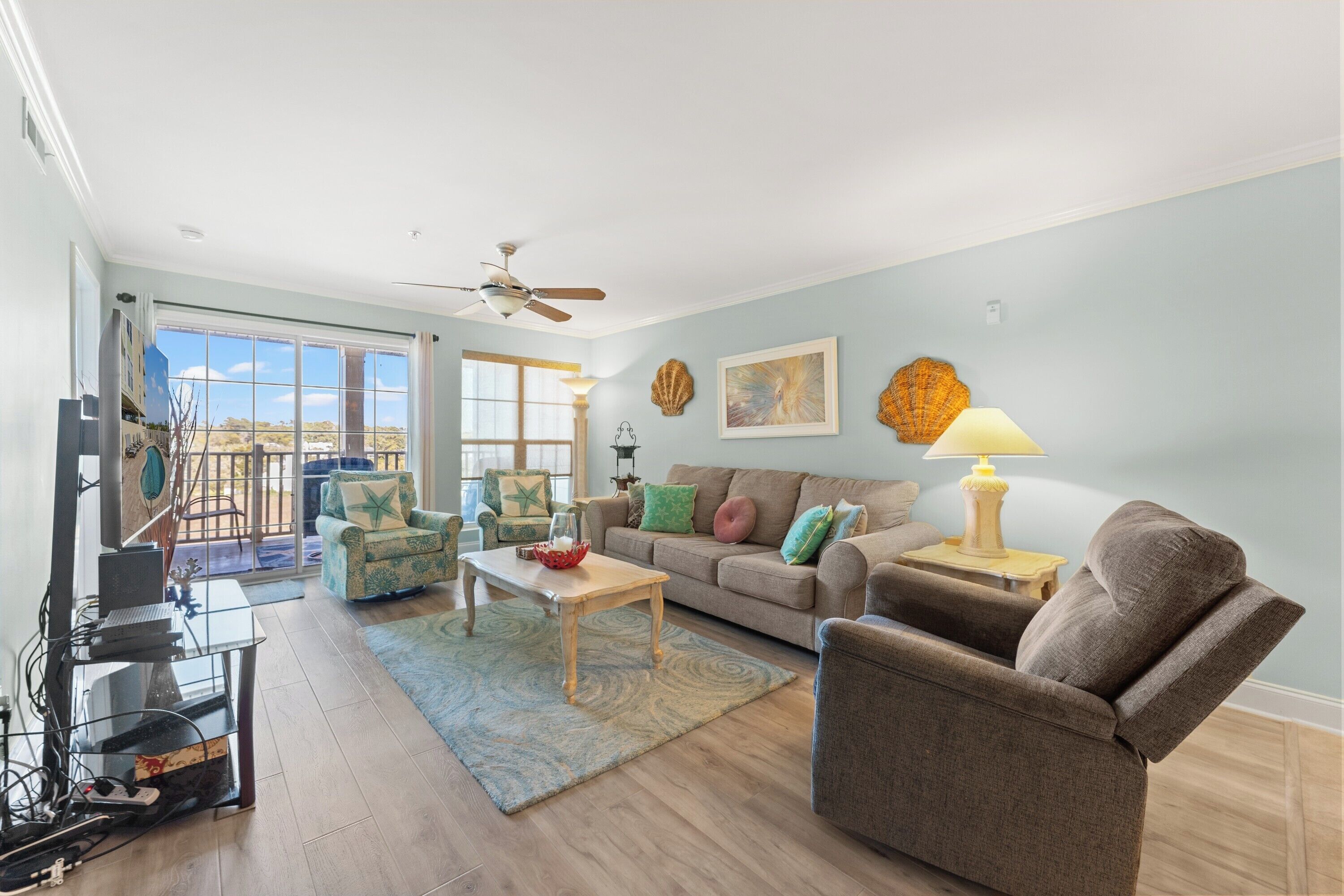 电视、DVD 播放器