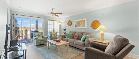 电视、DVD 播放器