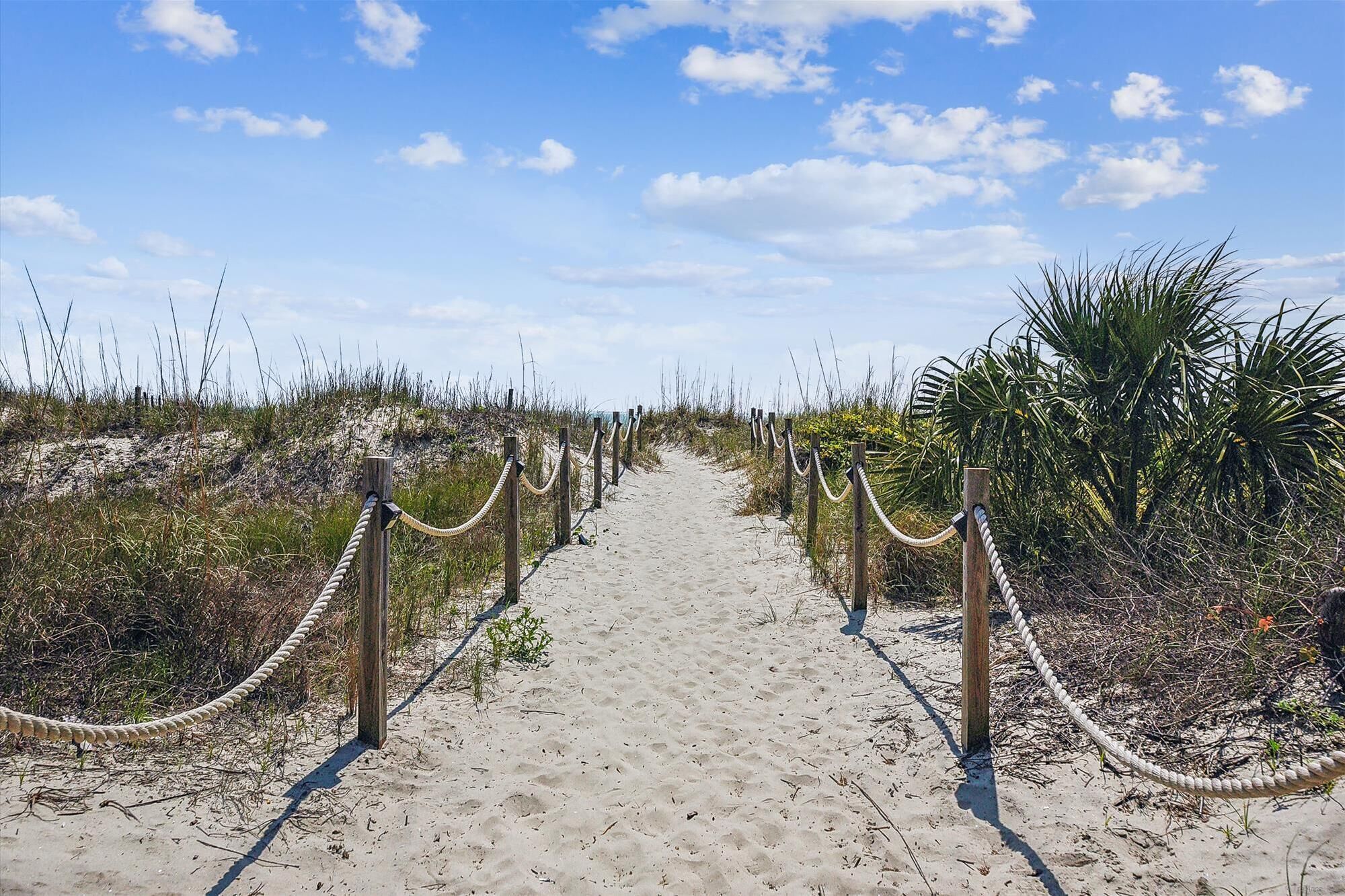 A sandy pathway with wooden posts and ropes on both sides, leading through a natural area with sparse vegetation and a clear sky.