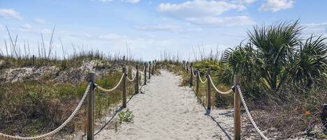 A sandy pathway with wooden posts and ropes on both sides, leading through a natural area with sparse vegetation and a clear sky.
