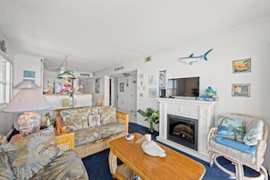 TV, fireplace, DVD player