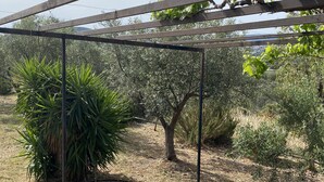 A pergola structure with a garden underneath, featuring various plants and trees. - Cosy Calm Cottage in Olive Trees With sea View (Ermionida)